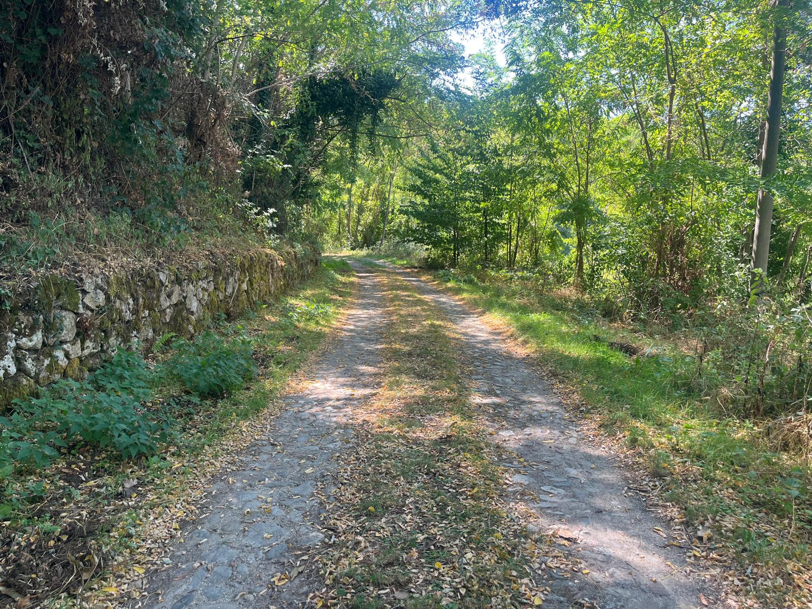 Passeggiata sul Sentiero Friddizza